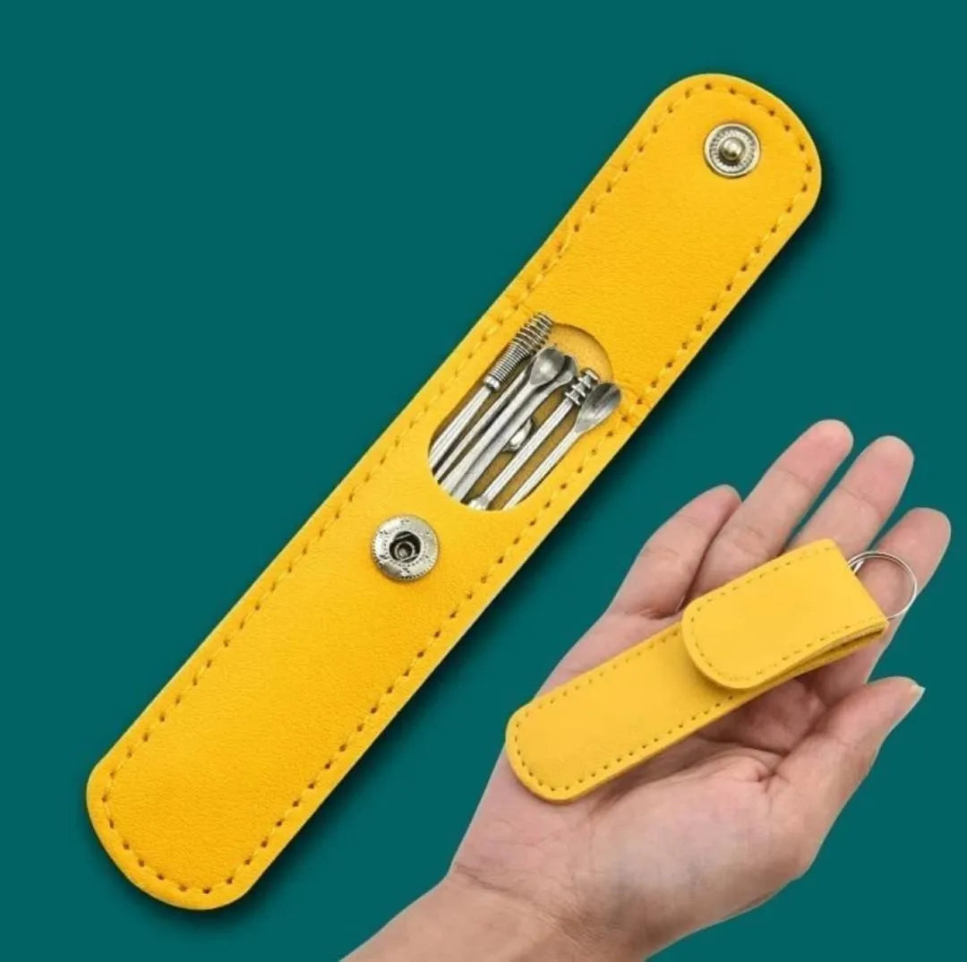 Portable ear cleaning kit with stainless steel tool and leather case